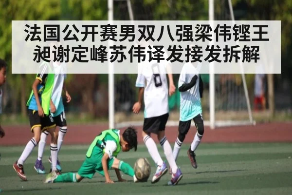 法国公开赛男双八强梁伟铿王昶谢定峰苏伟译发接发拆解
